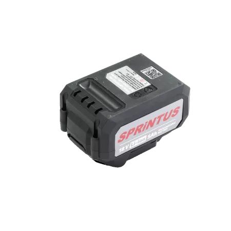 Batterie 18V 5Ah pour aspirateurs SPRINTUS