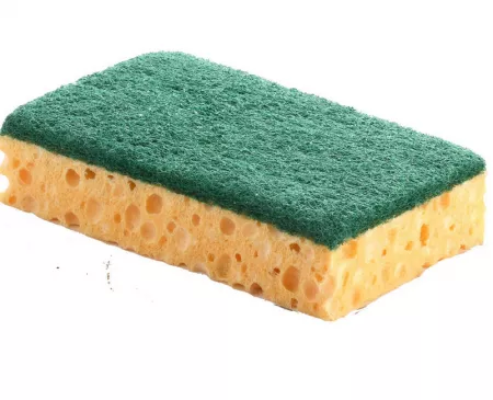 Eponge SPONTEX basic grattante big (blond/vert)