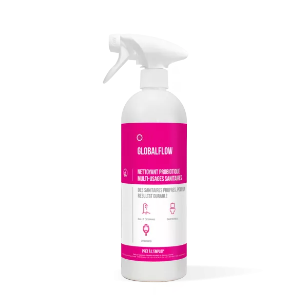 Vaporisateur � remplir GLOBALFLOW 750mL